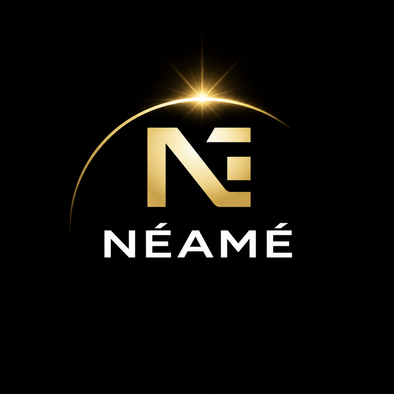 Logo Néamé